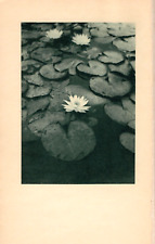 ALVIN LANGDON COBURN, Antique 1911 Photogravure Pictorial Stieglitz Contemporary picture