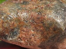 PETRIFIED & AGATIZED Fossil WHALE BONE NODULE (16 ounces) Miocene, California picture