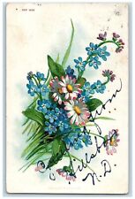 Hillsboro North Dakota ND Postcard Greetings Flowers Leaves Scene 1908 Antique picture
