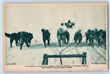 North Pole Expodition Postcard Team Of Eight Eskimo Dogs Hitched Fanwise c1910's picture