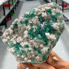 1.84LB Natural Rare crystal samples of transparent green cubic fluorite/China picture