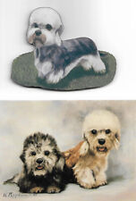 Dandie Dinmont Terrier Note Cards & Fridge Magnet ~ Ruth Maystead & Chuck Brown picture