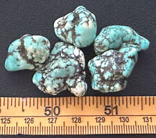 (5) Original Navajo Indian Turquoise Trade Beads Mottled Color Fur Trade 1800's picture