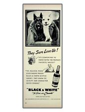 Black & White Dogs Magician Blended Scotch Whiskey 1952 Vintage Print Ad picture