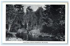 1947 River View, Greetings from Champion, Michigan Vintage Posted Postcard picture