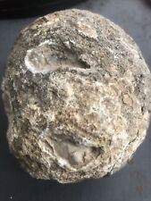 mexican coconut geode 4 Lb Rough picture