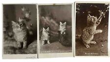 Cat Postcard Real Photo Rppc Wonderment Puss in Boots Play Kitten Lot 3 picture