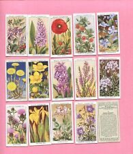 1936 W.D. & H.O. WILL'S CIGARETTES WILD FLOWERS 1ST SERIES 50 COLLECTOR CARD SET picture