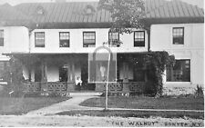 The Walnut Shaker Craig Colony Hospital Sonyea New York NY Reprint Postcard picture