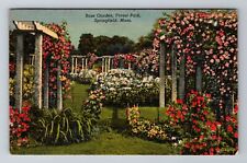 Springfield MA-Massachusetts, Rose Garden, Forest Park, Antique Vintage Postcard picture