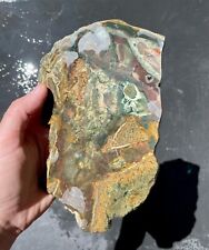 Oregon Morrisonite jasper slabs parcel, uncut rare jasper gemstone for cabbing picture