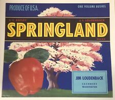 Springland Brand Apple Crate Label - Jim Loudenback - Cashmere picture