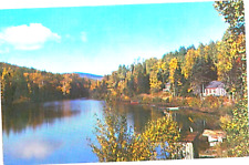 Club Ste-Claire La Malbaire Quebec Canada  Trees Postcard picture