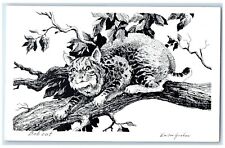 Bobcat Walter Graham Animals West Original Drawings By Western Artist Postcard picture