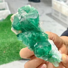 260g Rare transparent GREEN cubic fluorite mineral crystal sample/China picture
