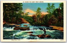 Generic Greetings Postcard Where the Gamey Trout Abound USA picture