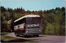 Vintage GRAY COACH LINES Bus Advertising Postcard 