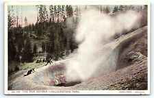 c1918 YELLOWSTONE NATIONAL PARK WY THE MUD GEYSER HAYNES-PHOTO POSTCARD P4638 picture