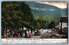 UDB Antique Postcard~ Street Scene In The Heart Of The Catskill Mountains, NY picture