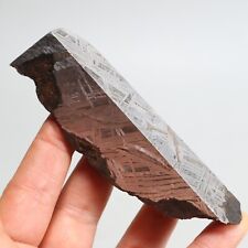 268g Slice meteorite,  Iron Meteorite slice,Meteor wish,Collection F268 picture