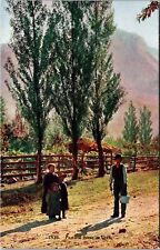 Pastoral Scene In Utah Vintage Souvenir Postcard picture