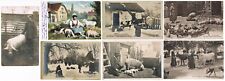 7 old Postcards related to Pigs, mostly French Postcards. picture