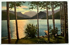 Morning Scene Grand Lake Colorado CO Mt. Baldy Lake Forest View Linen Postcard picture