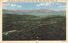 c1930s-40s Lake Raponda From Fire Tower Mount Olga Molly Stark Trail VT P526 picture