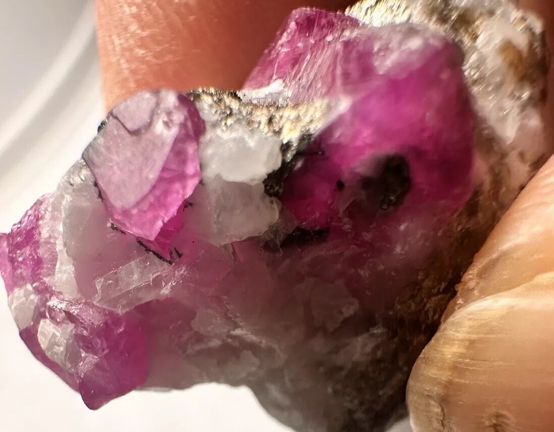 59.ct/top Robin Crystal Gorgeous Colour.  Aus AFG