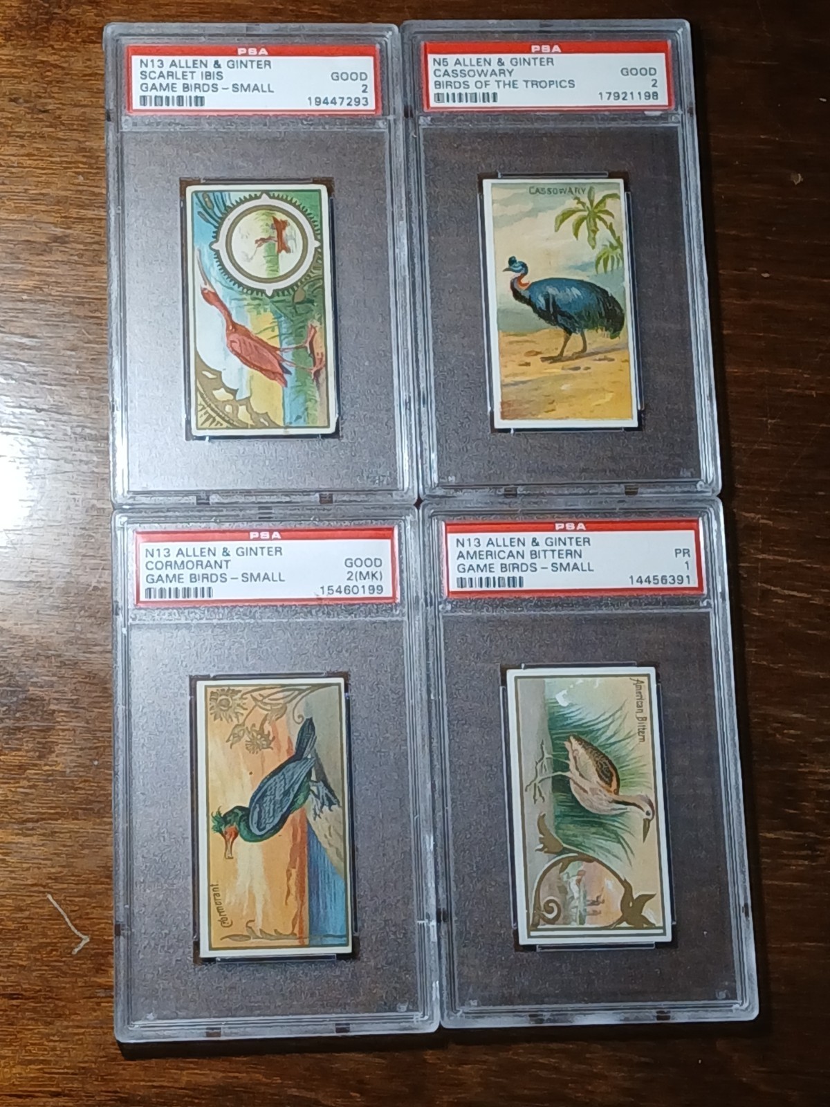 1889 Allen Ginter Game Birds N13 PSA 2 Scarlet Ibis Cormorant Bittern N5 Tropics