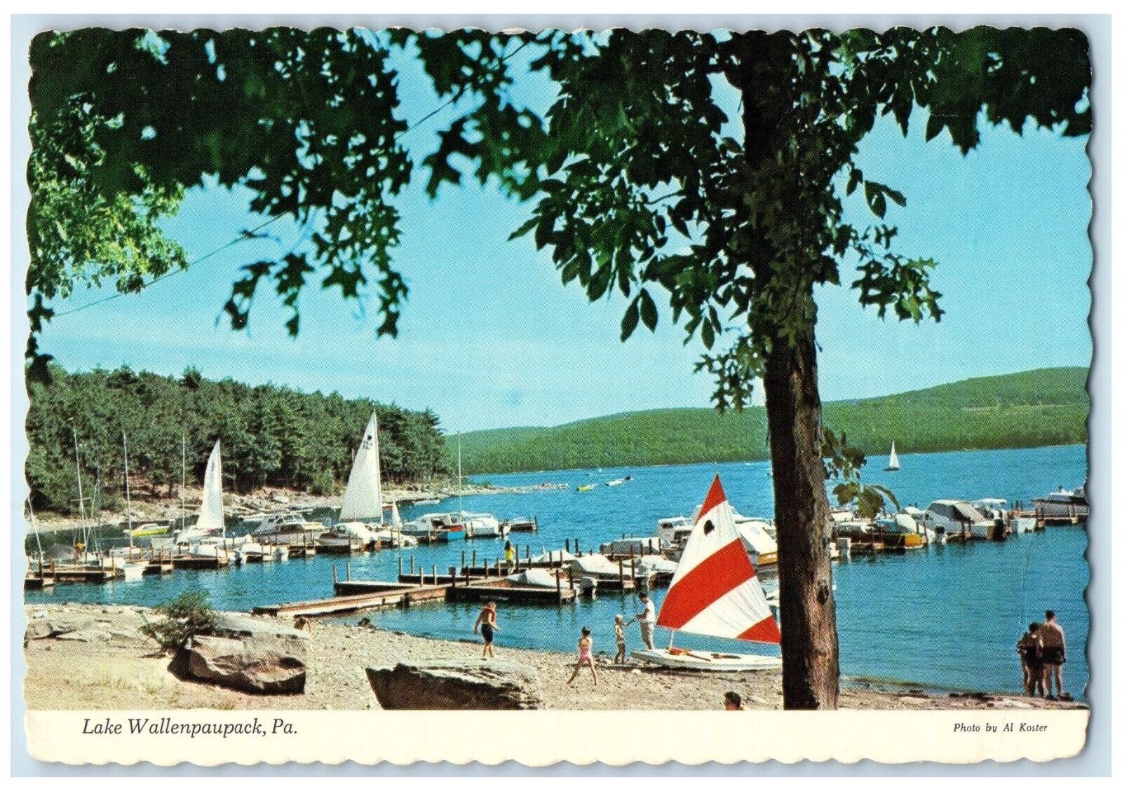 c1960 Scenic View Lake Wallenpaupack Pocono Mountains Pennsylvania PA Postcard