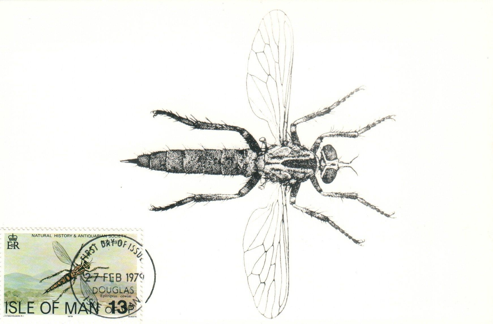 VINTAGE REAL PHOTO 1979 FDI Stamp Natural History Museum Fly Insect IOM POSTCARD
