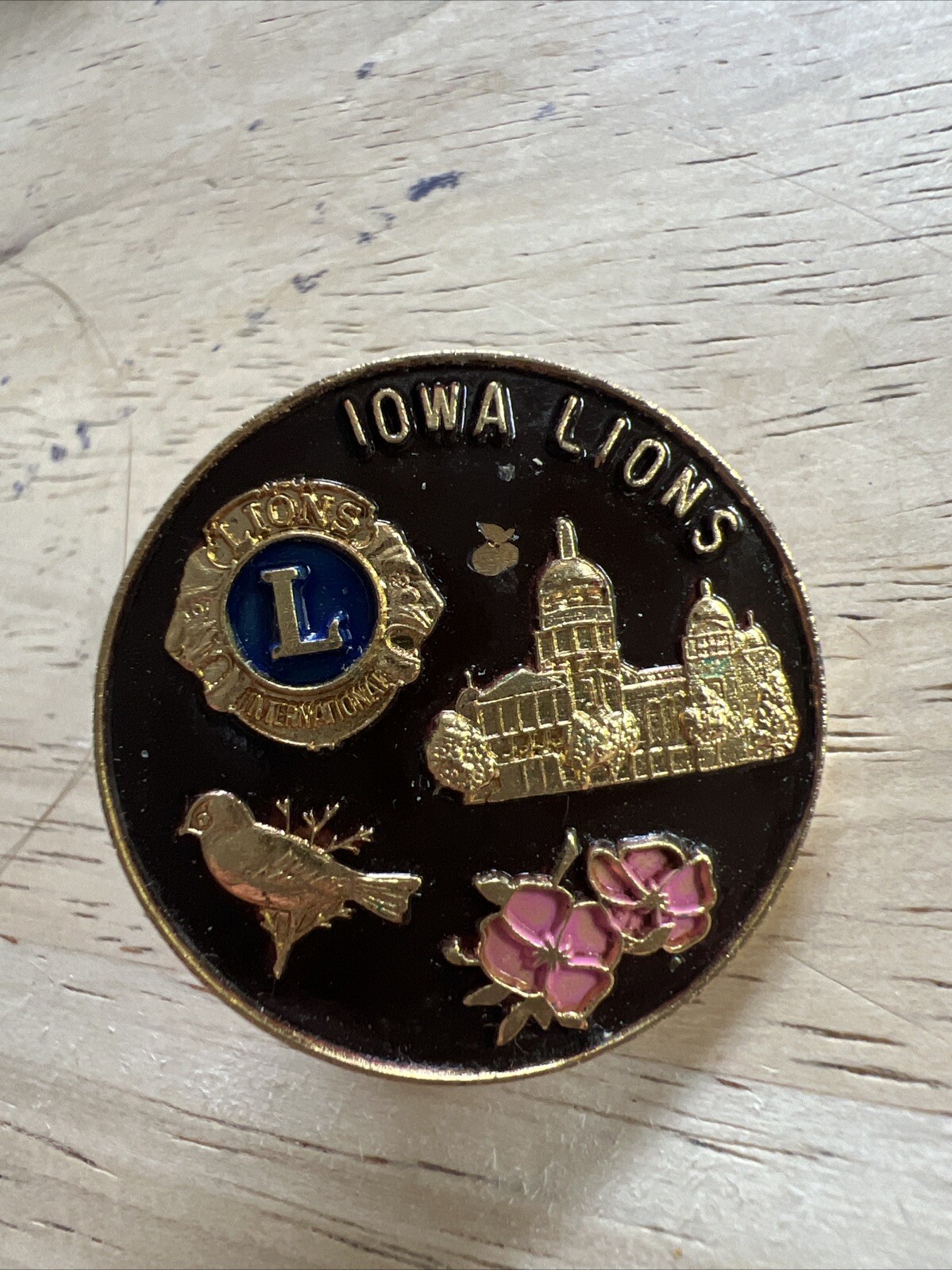 Vintage Iowa Lions Club Pinback Vintage Iowa Lions Club Pinback