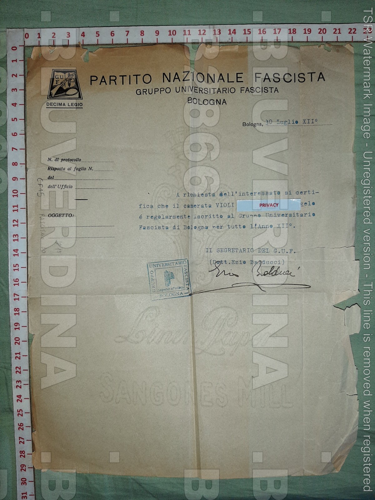 B2866 LETTER 1934 BOLOGNA CITY FASCIST NATIONAL PARTY UNIVERSITY GROUP