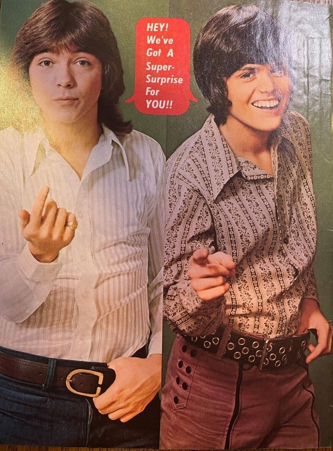 1972 Vintage Illustration Musicians Donny Osmond & David Cassidy