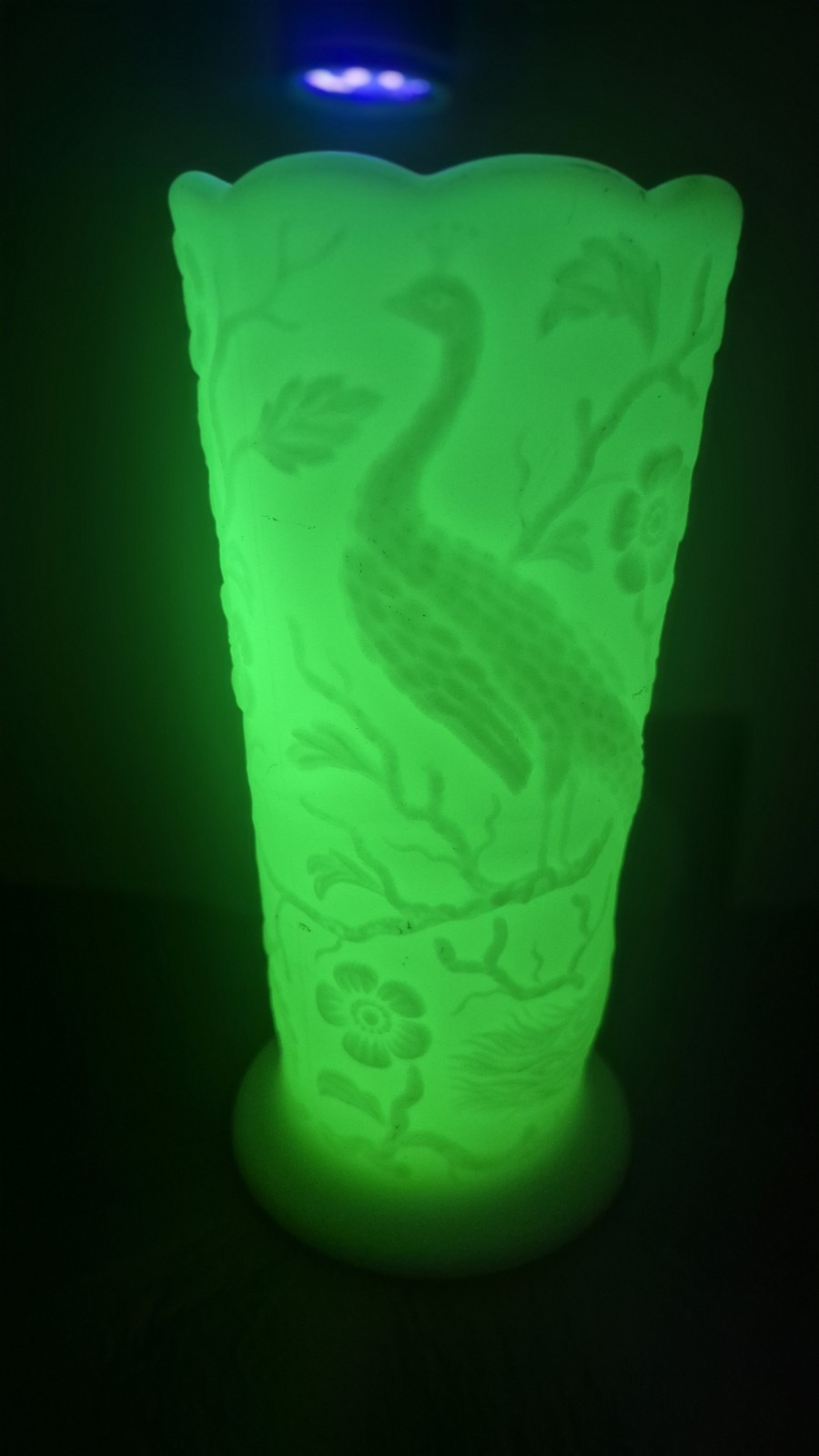 Fenton Burmese Custard Glass Peacock Garden Floral Scalloped Uranium Glow Vase