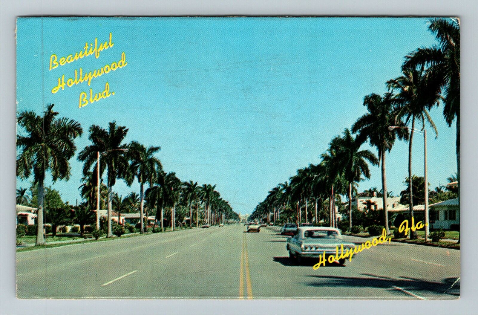 Hollywood FL-Florida, Hollywood Boulevard, c1964 Vintage Postcard