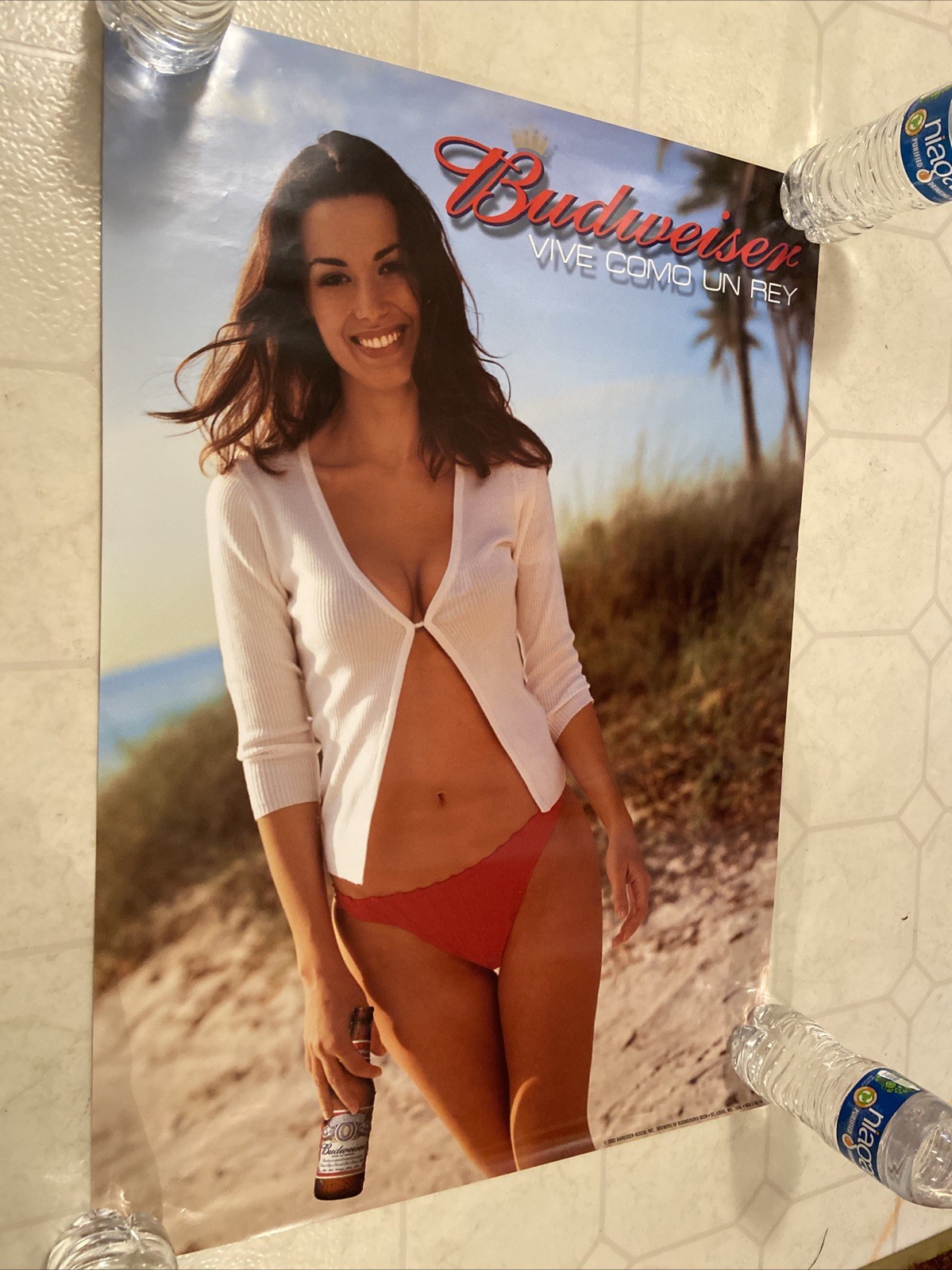 Vintage 2002 Budweiser Beer Bikini Girl Poster Vive Como Un Rey 20x28