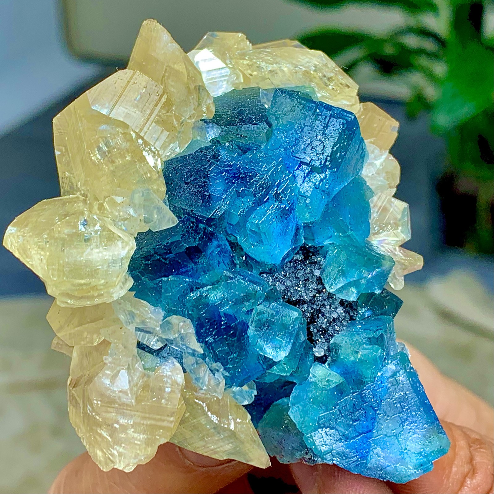 194G Natural Morandi blue-green Fluorite calcite Mineral Sample/Fujian