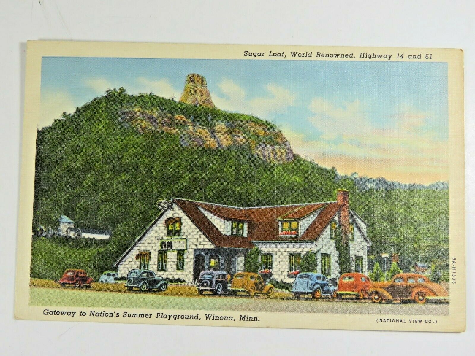 Vintage Postcard Gateway to Nations Playground Winona MN Hand Tinted A5249