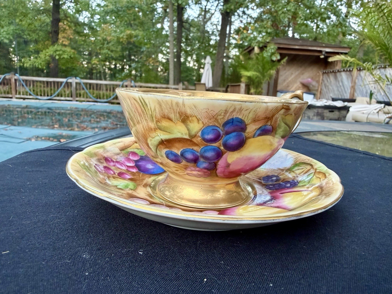 American Beauty Hand Painted Teacup And Saucer-RARE American Beauty Hand Painted Teacup And Saucer-RARE
