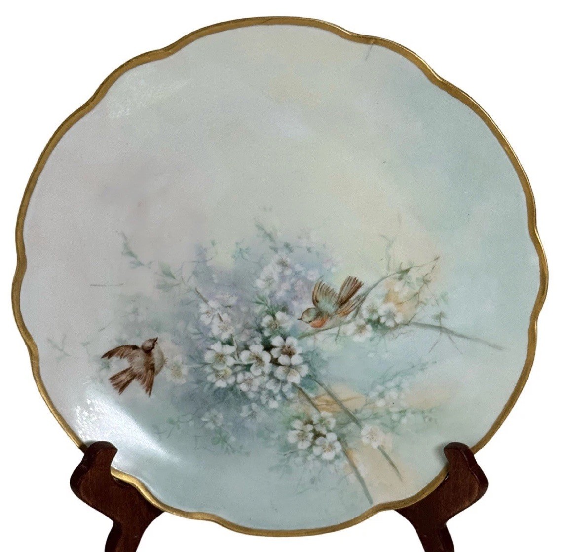 VTG MZ Austria Handpainted Plate 8.5” Birds Flowers Gold Rim Display Wall Decor