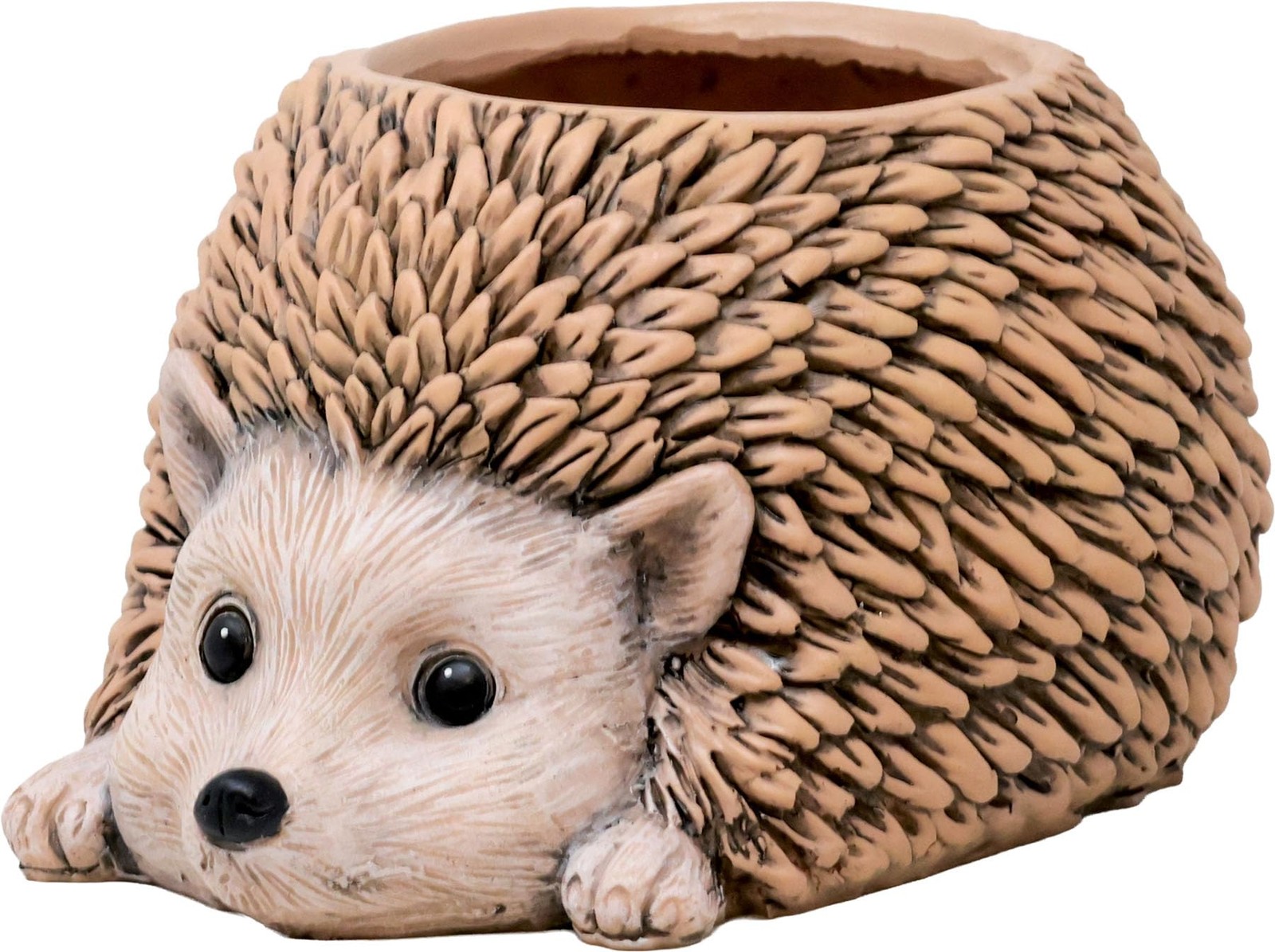 Spoontiques Hedgehog Flower Pot, Hand-Painted Resin Indoor/Outdoor Planter Spoontiques Hedgehog Flower Pot, Hand-Painted Resin Indoor/Outdoor Planter