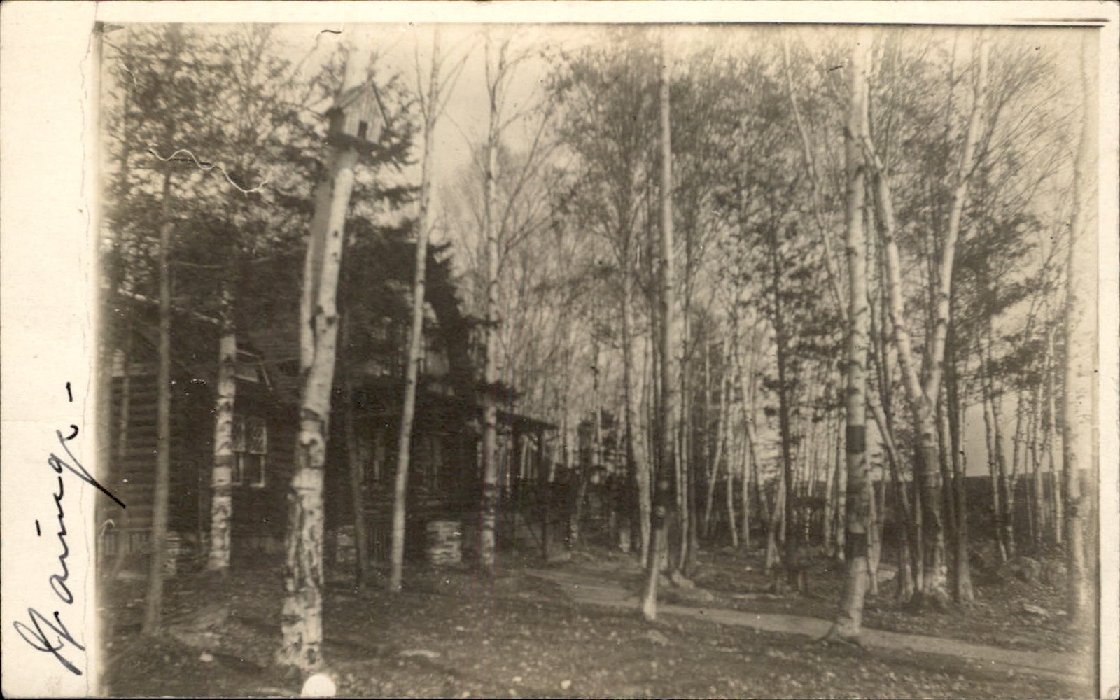 Belmont Massachusetts MA Wooded House c1910 Real Photo Vintage Postcard bhn