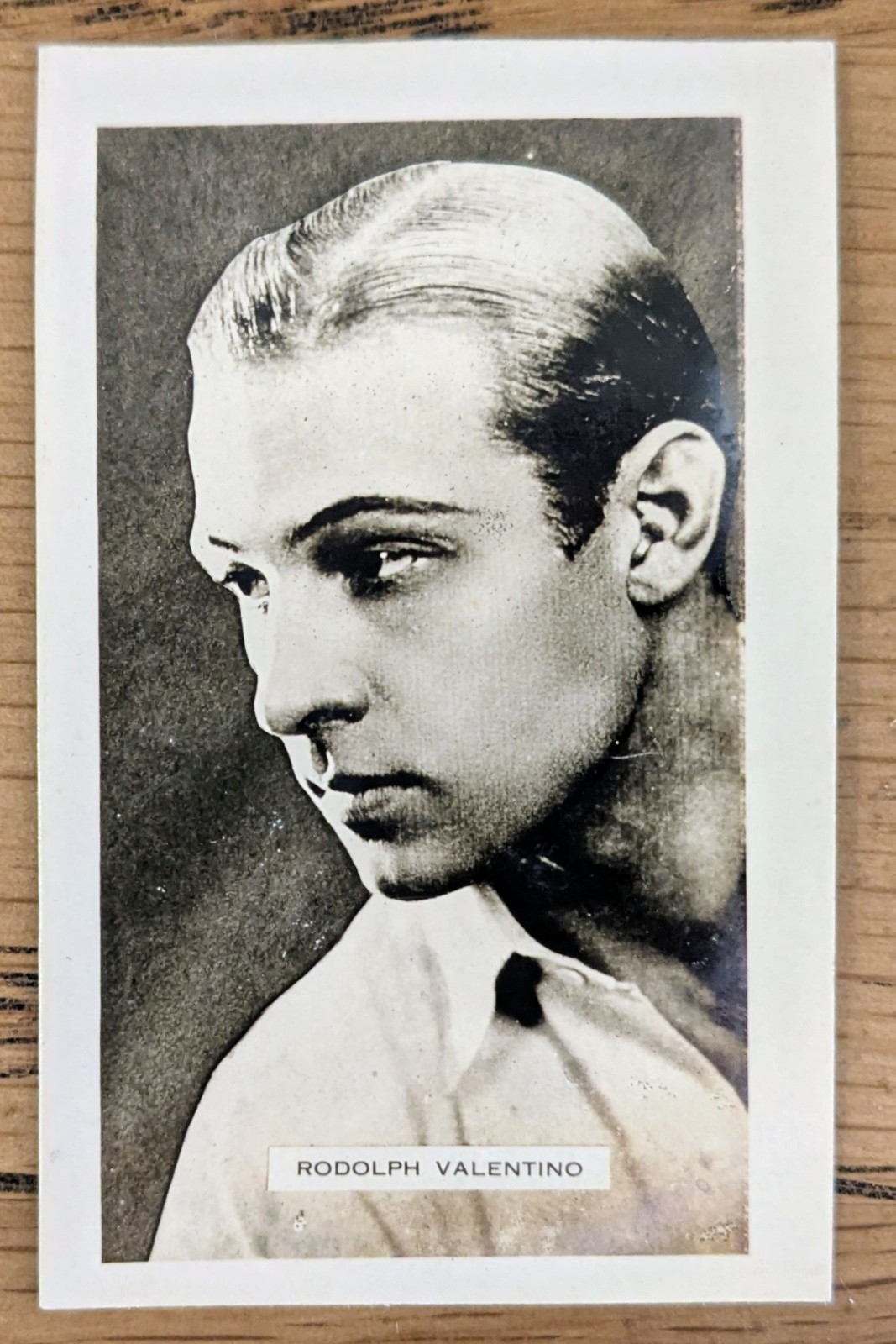 1922 Magpie Cigarettes JJ Schuh Cinema Stars #16 Rudolph Valentino 1922 Magpie Cigarettes JJ Schuh Cinema Stars #16 Rudolph Valentino