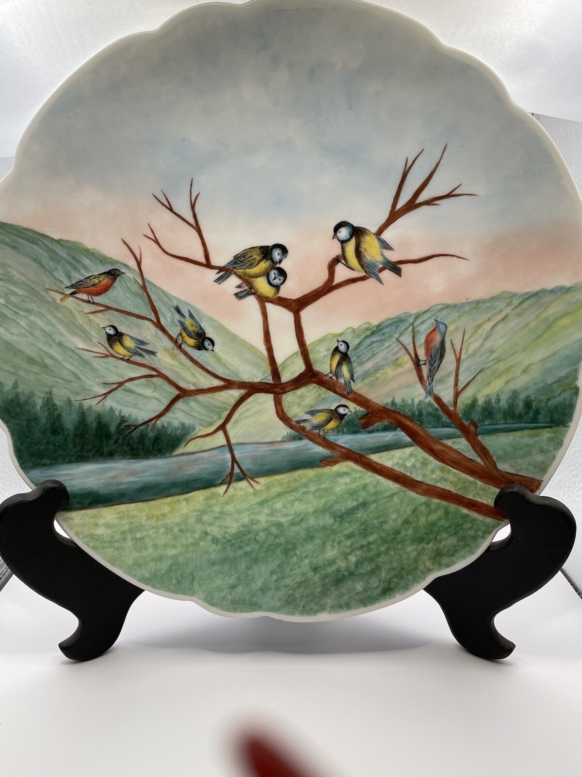 Beautiful Hand Painted Bavaria Finch Birds Decorative Plate Signed 1912