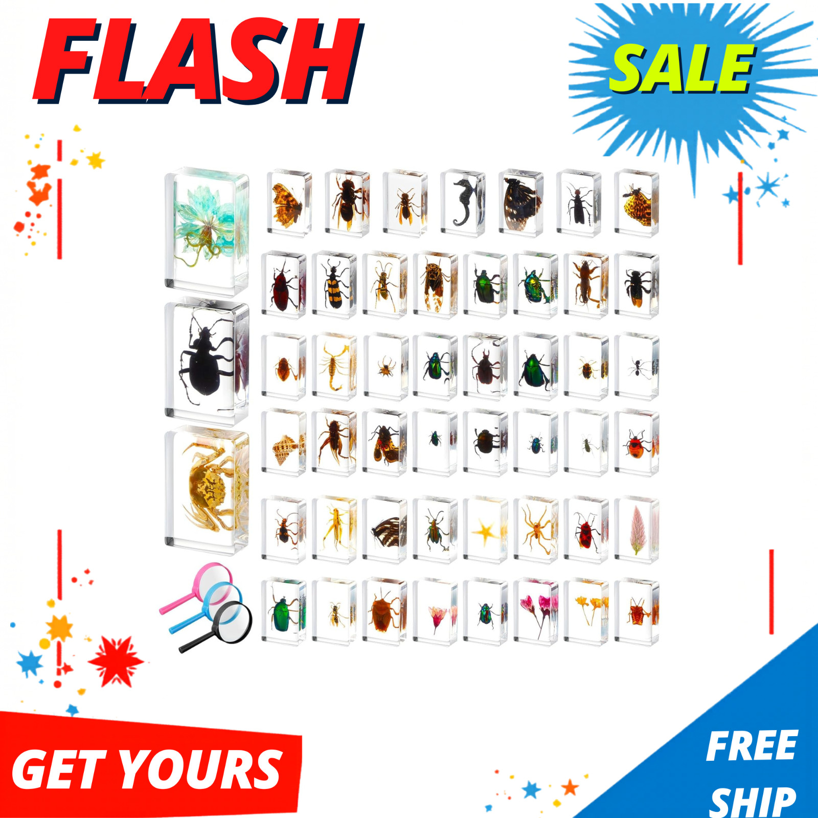 50 Pcs Insect in Resin Specimen Various Bugs Collection Paperweights Bug Kit Pre
