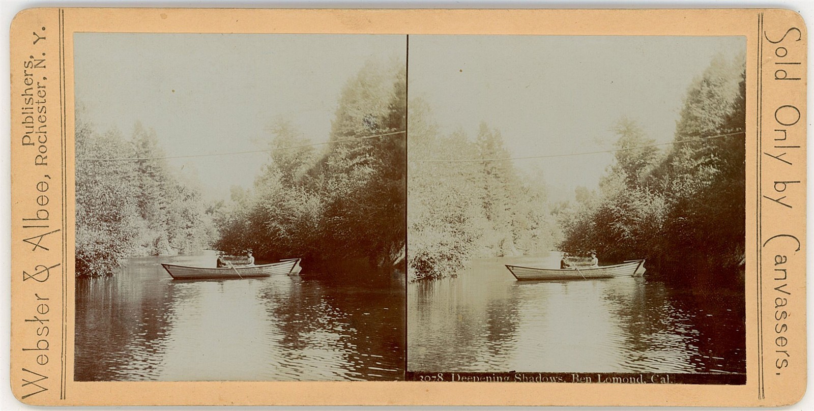 CALIFORNIA STEREOVIEW - Santa Cruz - Ben Lomond Rowboat - Webster & Albee 1890s