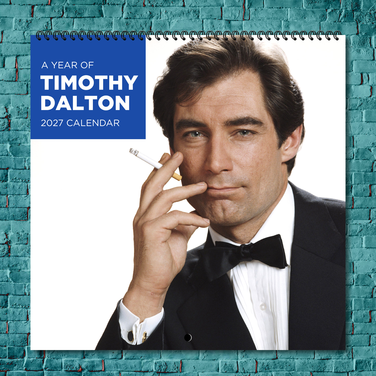 Timothy Dalton 2027 Wall Calendar 12 Month Celebrity Photo Fan Collectible
