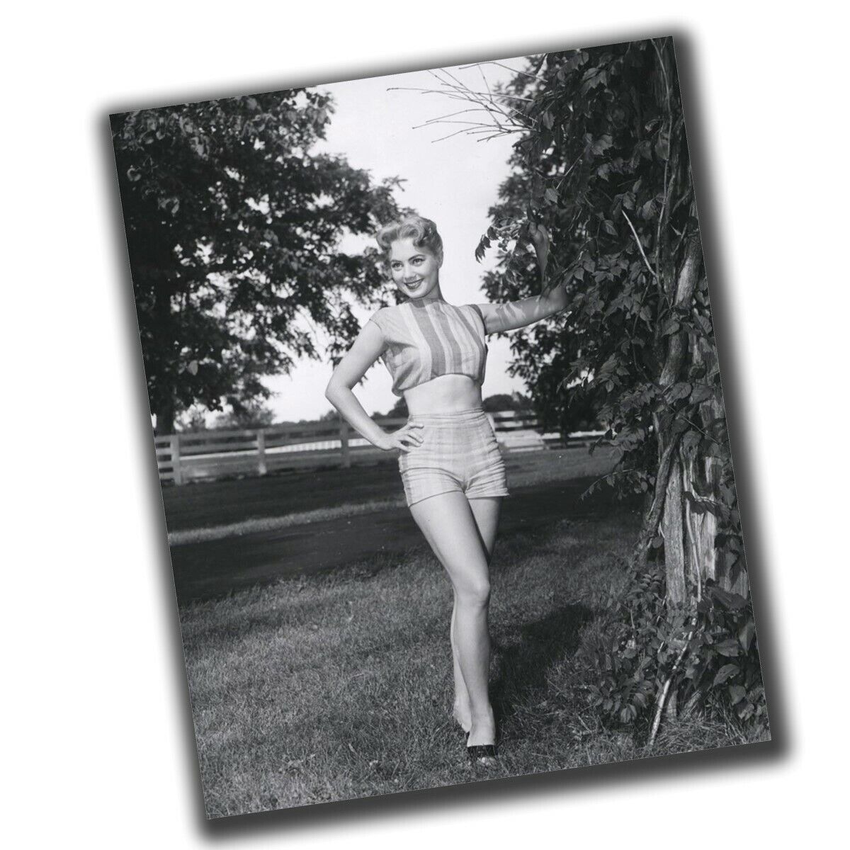 Shirley Jones Celebrities Retro Rare Photo Glossy Big Size 8X10in ε090